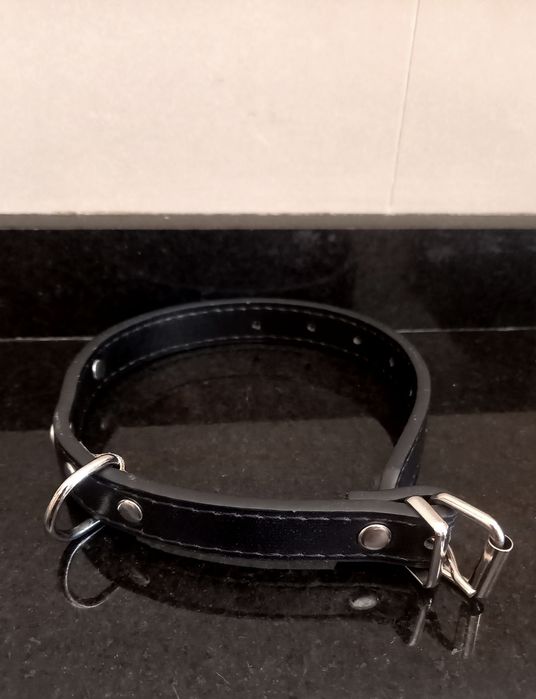 Tapete de brincar Splash com oferta de coleira