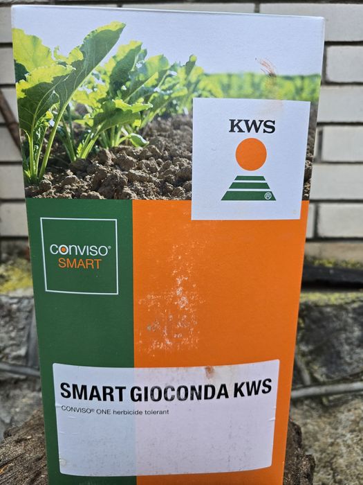 Продам насіння Конвізовського цукрового буряка.