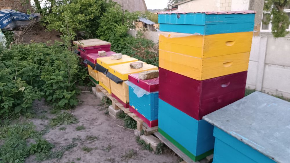 Продам свіжий мед з доставкою під під'їзд.