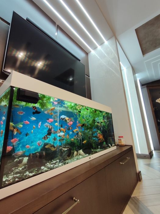 Велика  3-кімнатна квартира з дизайнерським ремонтом