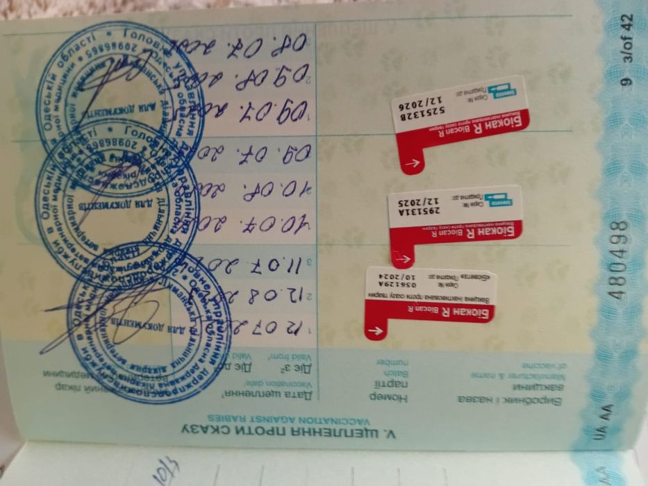 Шукаємо дівчинку для хлопчика