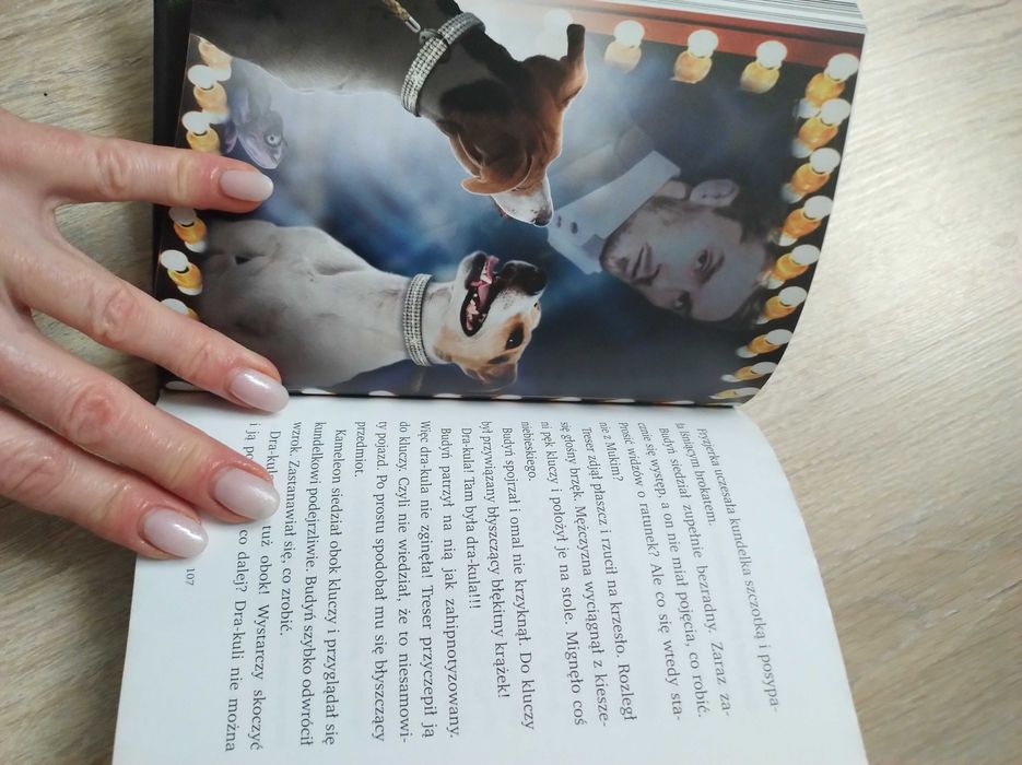Magiczne drzewo seria, Andrzej Maleszka