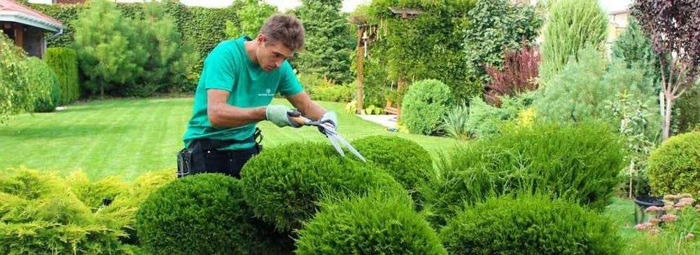 Уход за садом, стрижка хвойников, кустов, деревьев, уборка мусора