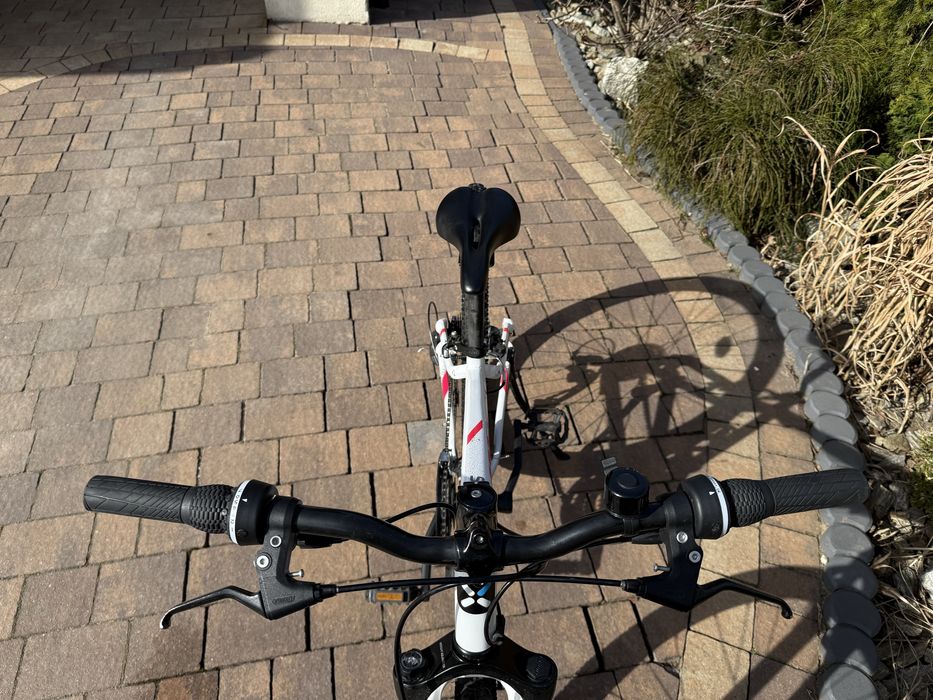 Rower Rockrider st 100