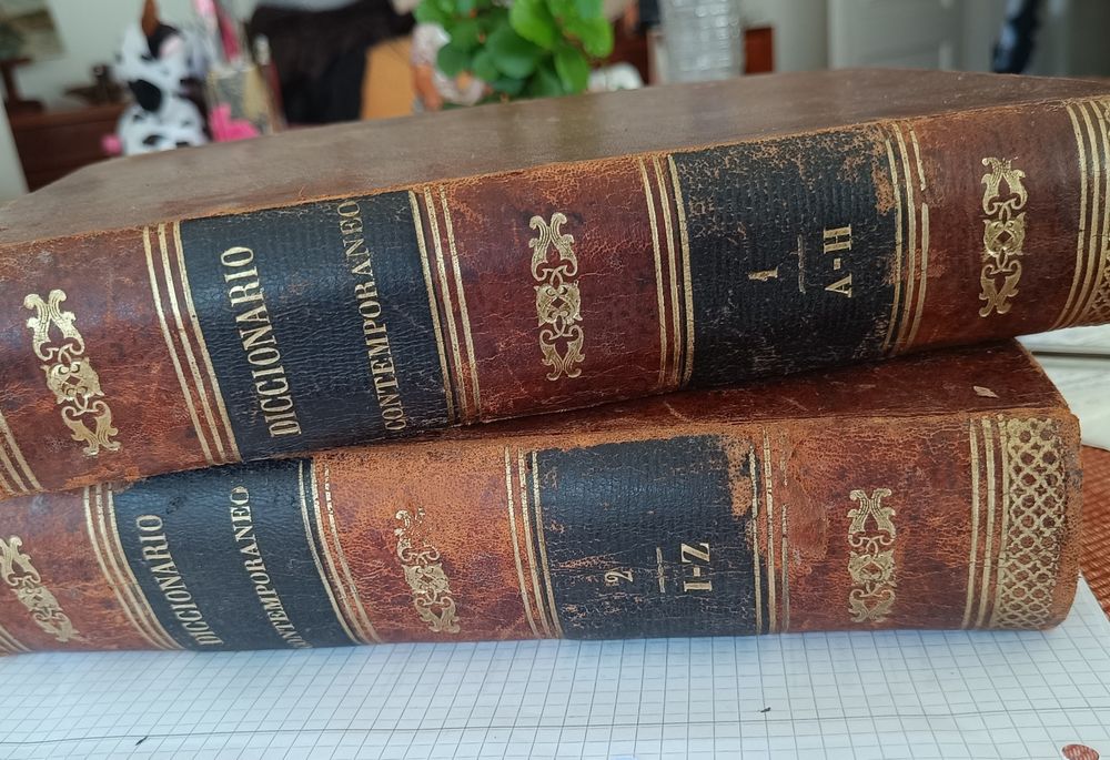 Diccionario Contemporaneo -  2 volumes