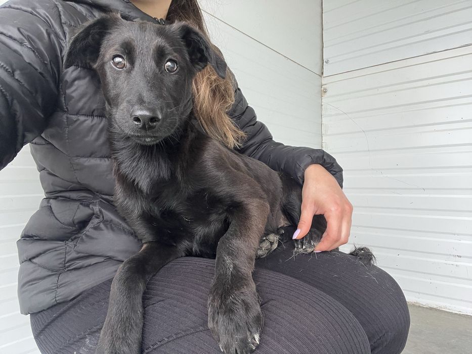 Bebé adorável para Adoção!