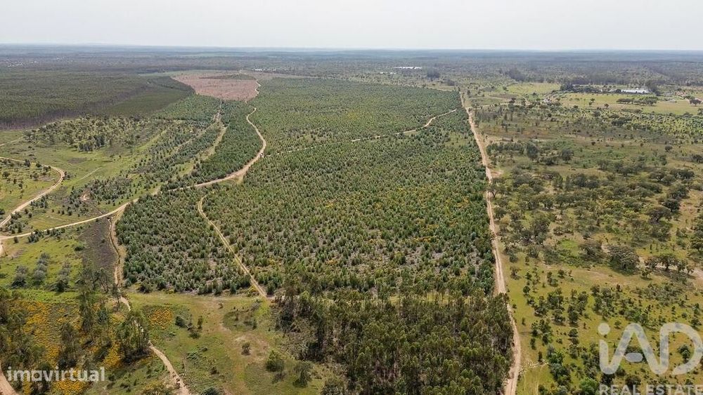 Terreno Agrícola em Bemposta