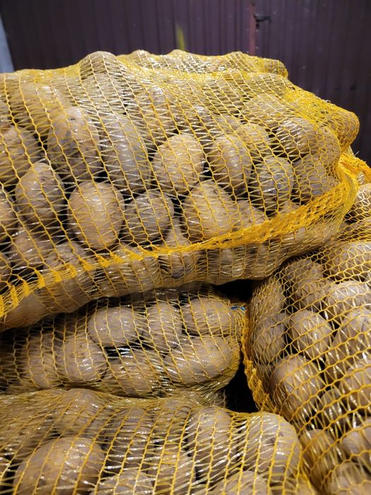 Ziemniaki soraya kaliber 35-45 jak sadzeniaki