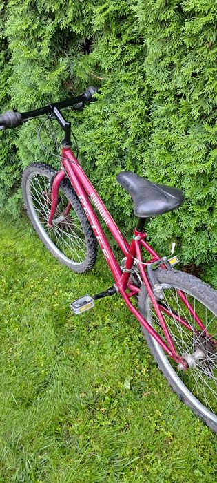 Rower PETER koła 24" osprzęt Shimano sprawny Poznań Ławica
