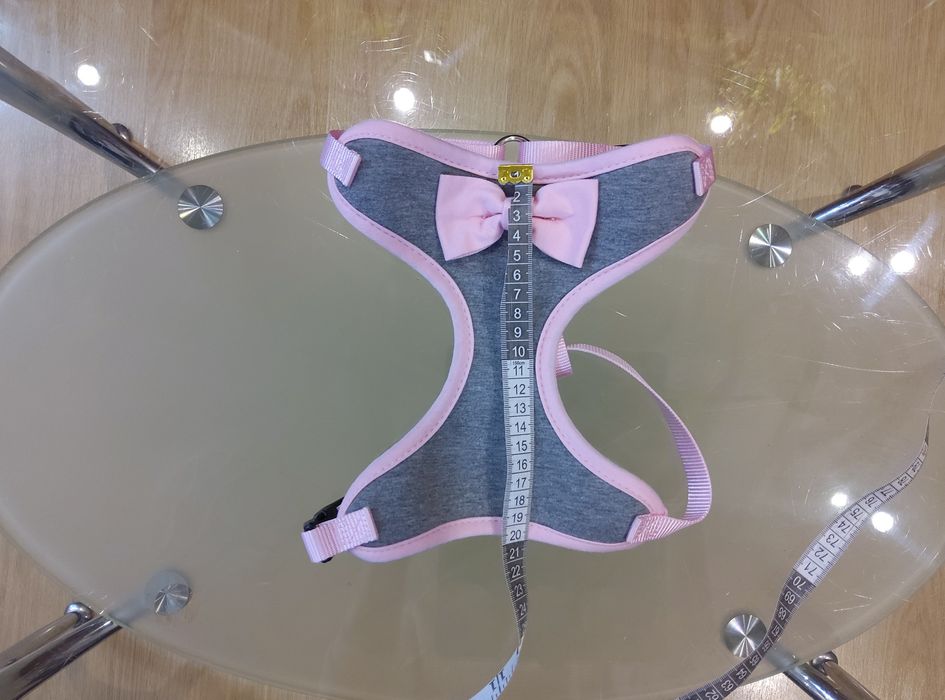 Шлея, шлейка для таксы