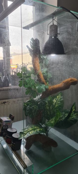 Terrarium 40x40x80