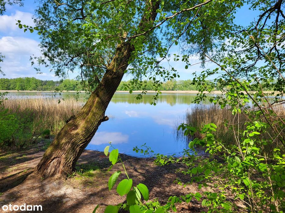 Dom zamiast mieszkania • Las • Jezioro 200 m • 20 min od Bydgoszczy