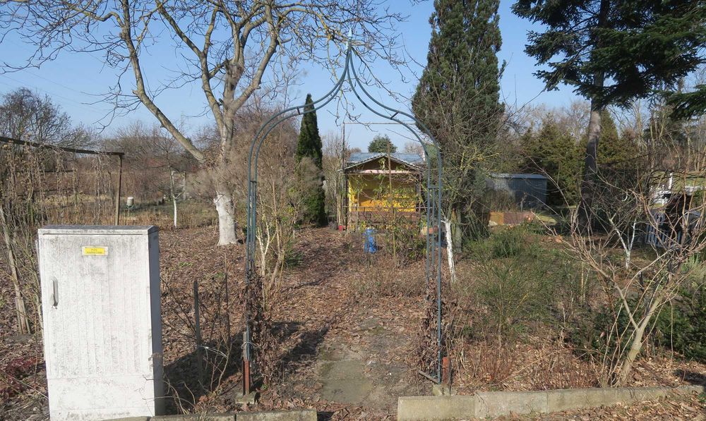 Ogródek działkowy ROD Celuloza