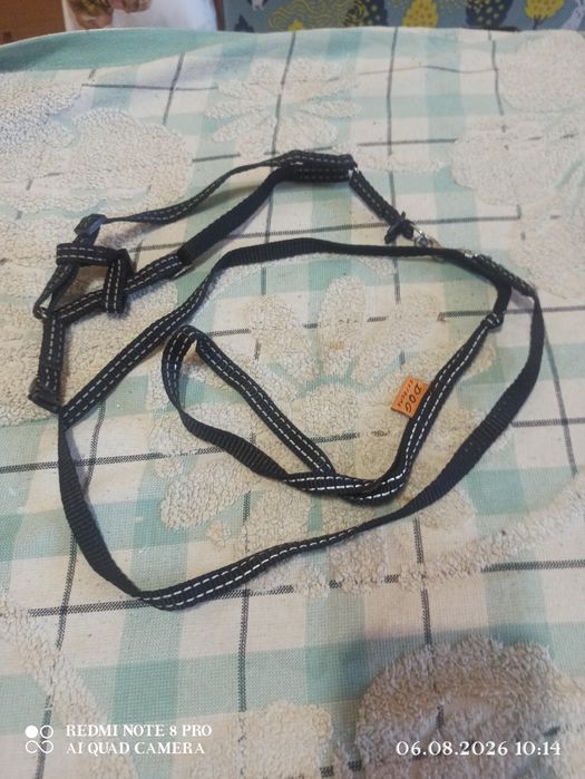 Продам іграшки для котика та песика та нашийник для песика