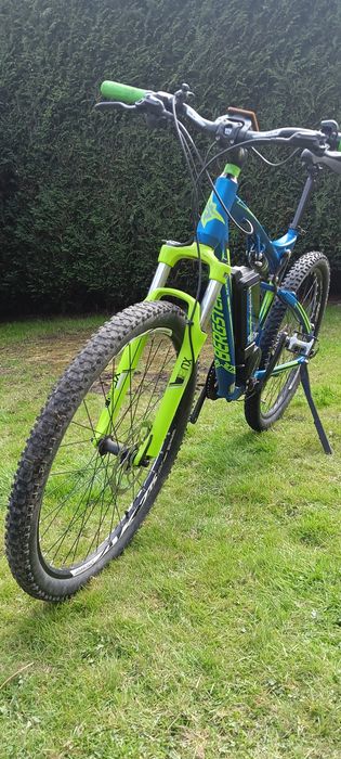 Rower elektryczny REX Bergsteiger 6.9