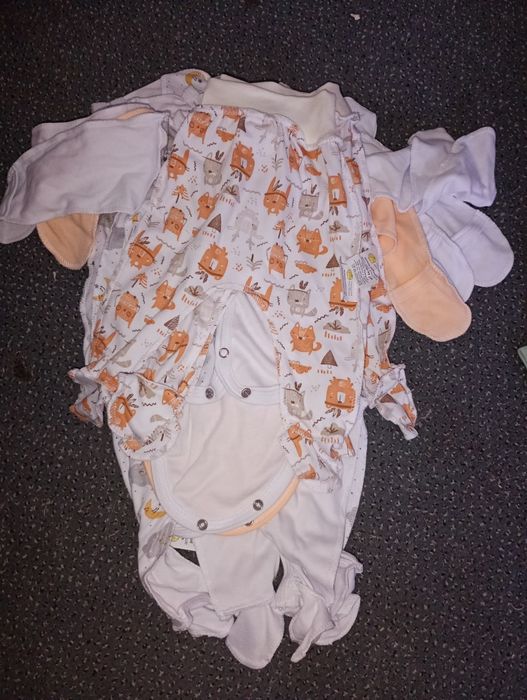 Пакет речей  62 р.