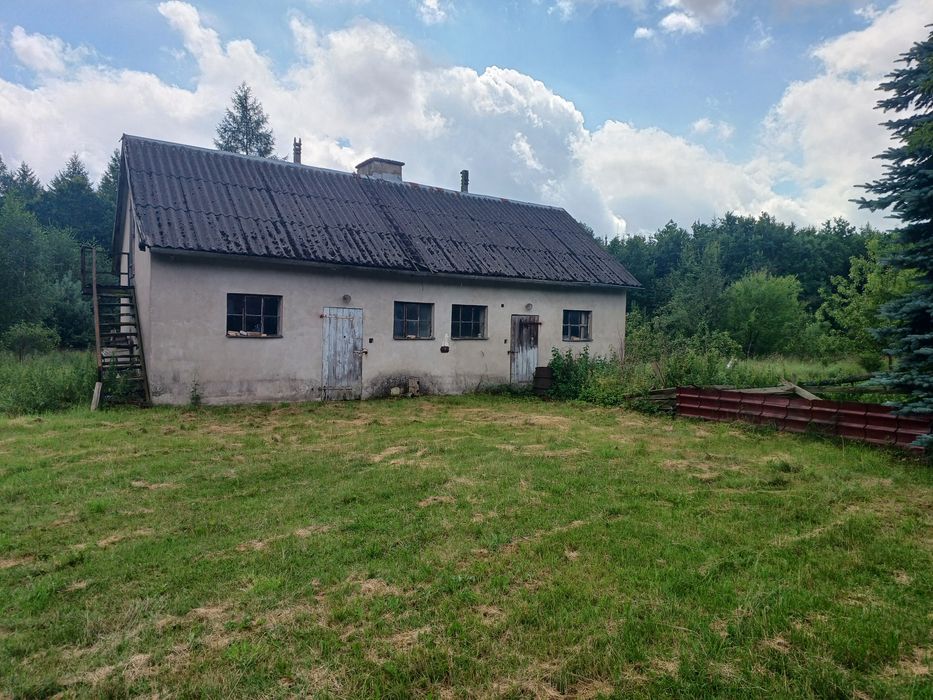 Dom w lesie, siedlisko ,dzialka