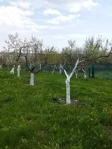 Продам Будинок біля міста Умань Черкаська обл.