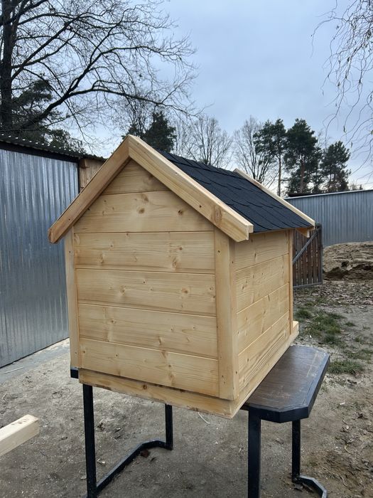 Buda dla średniego psa