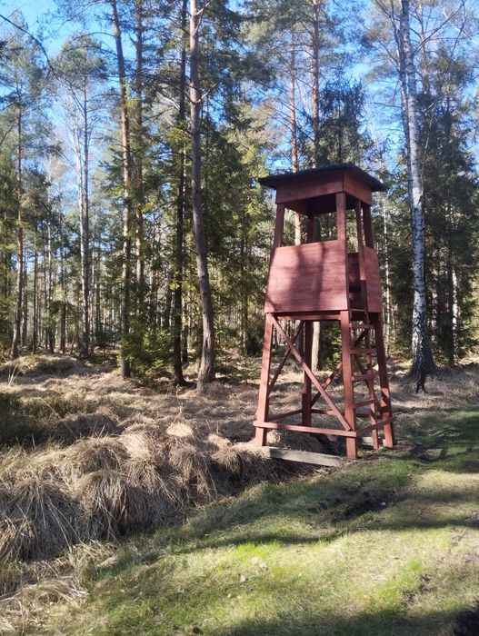 Ambona myśliwska wysiadka