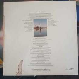 Vinyl Pink Floyd Wish You Were Here de 1983