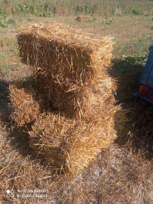 Продам тюкі сіна