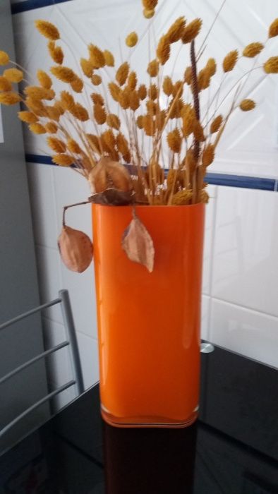 Orange-colored Area Pitcher434688140457420803