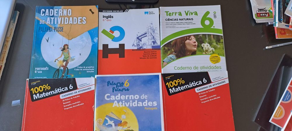 Cadernos de atividades 6.o