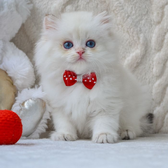 Київ. Блакитноокий блондин