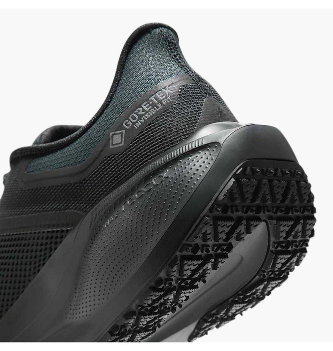 Кросівки для бігу чоловічі Nike Air Zoom Pegasus 41 Gore-Tex (FQ1356-0