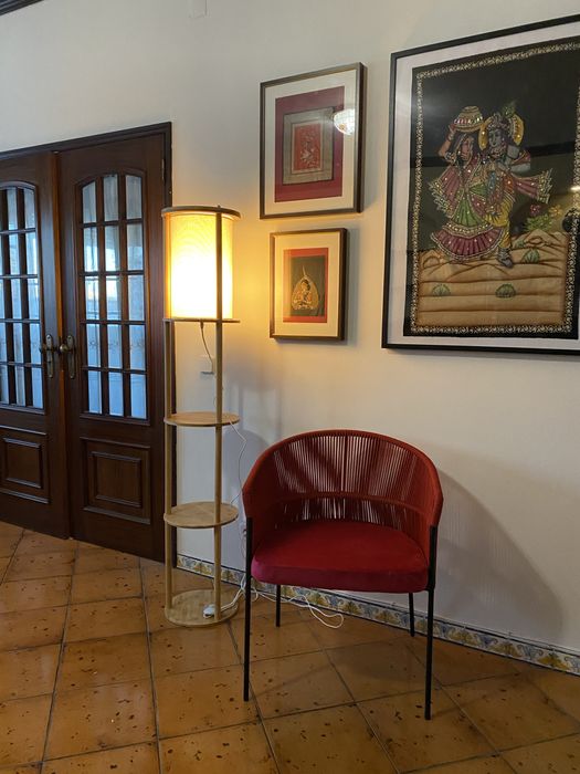 Cadeira Veludo Rosa e Corda Vermelha