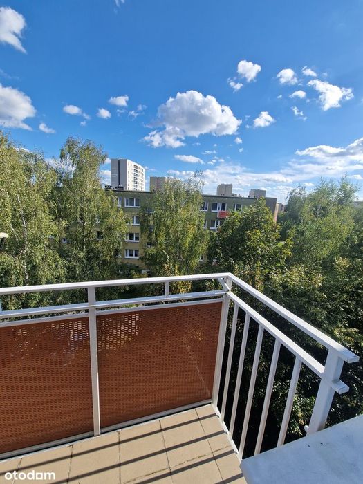 Zdjęcie 6