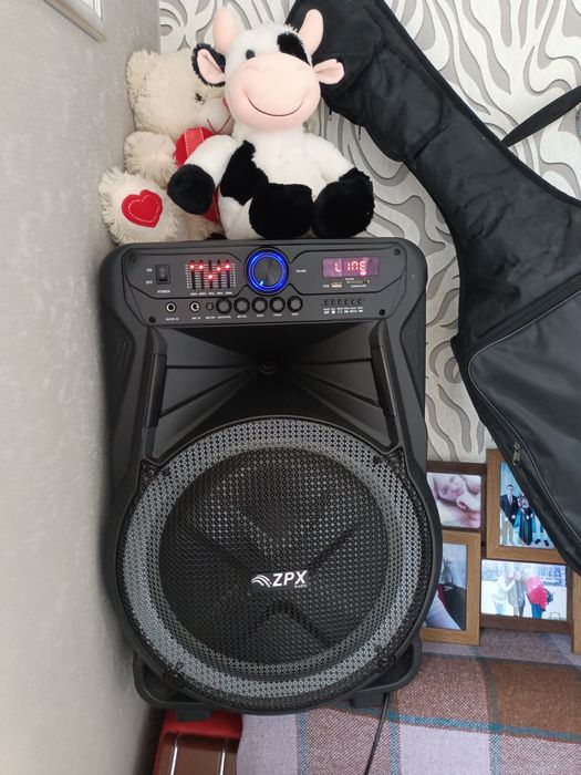 Класна колонка для дому і  на природу.