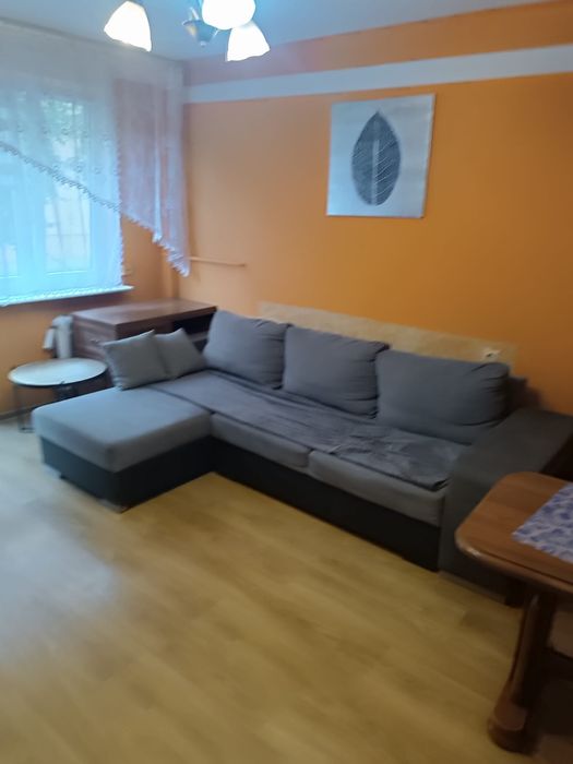 Wynajmę mieszkanie oś. XX lecia Wolbrom 37m²