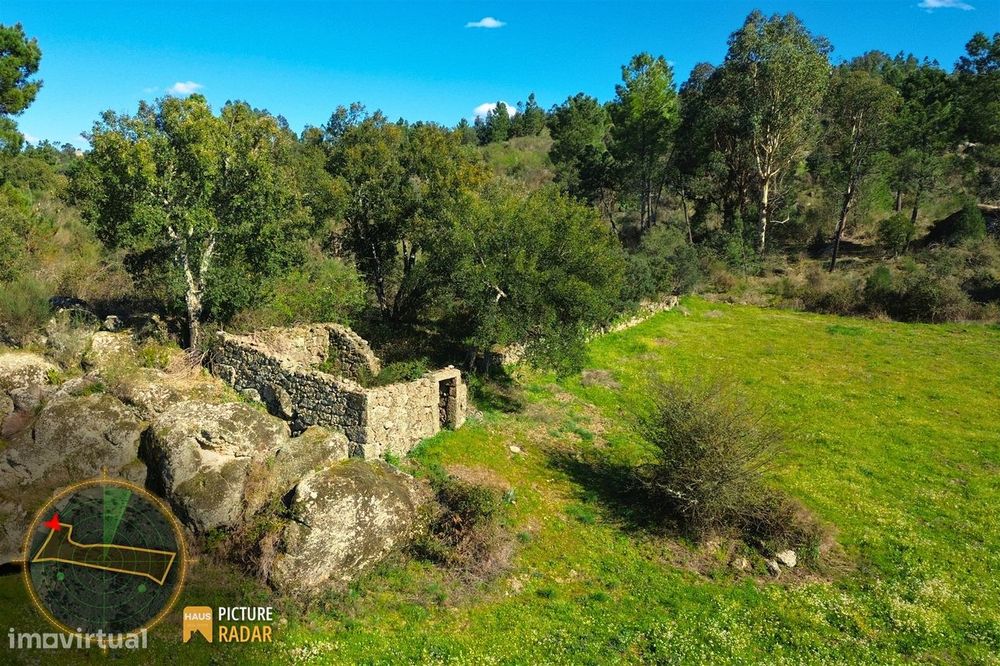 Terreno 1.1ha com Ruína e Vale Fértil | Cafede, Castelo Branco