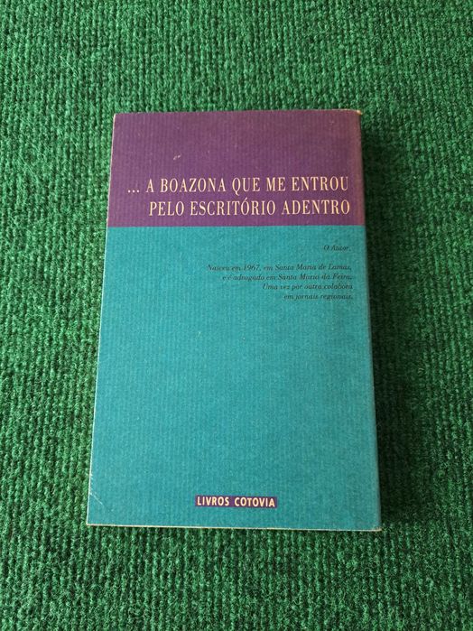 O estranho caso da boazona que me entrou pelo escritório adentro