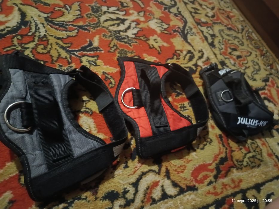 Шлейки для собак