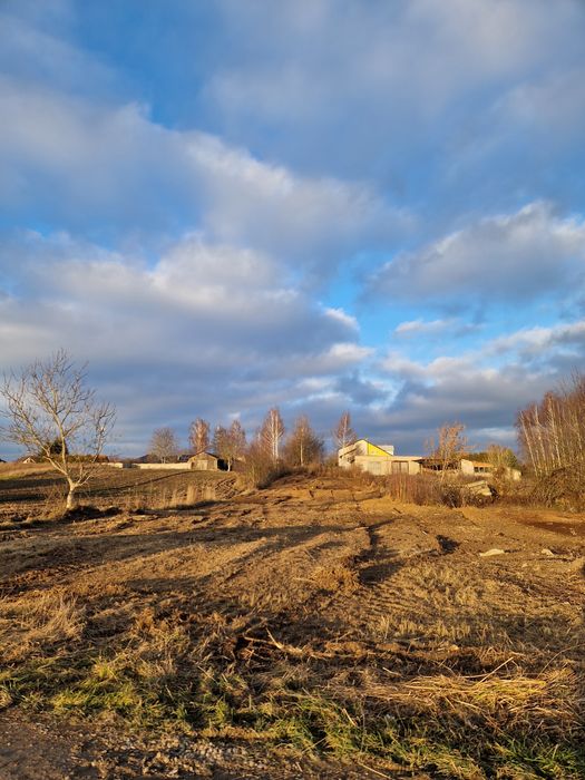 Działka w Ożarowie ul. Żytnia