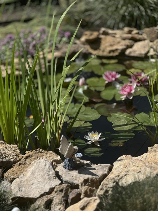 Продам домик в пригороде Черноморска Одесской обл