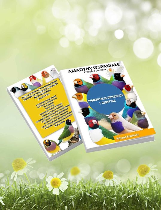 Książka amadyny wspaniałe pigmentacja i genetyka