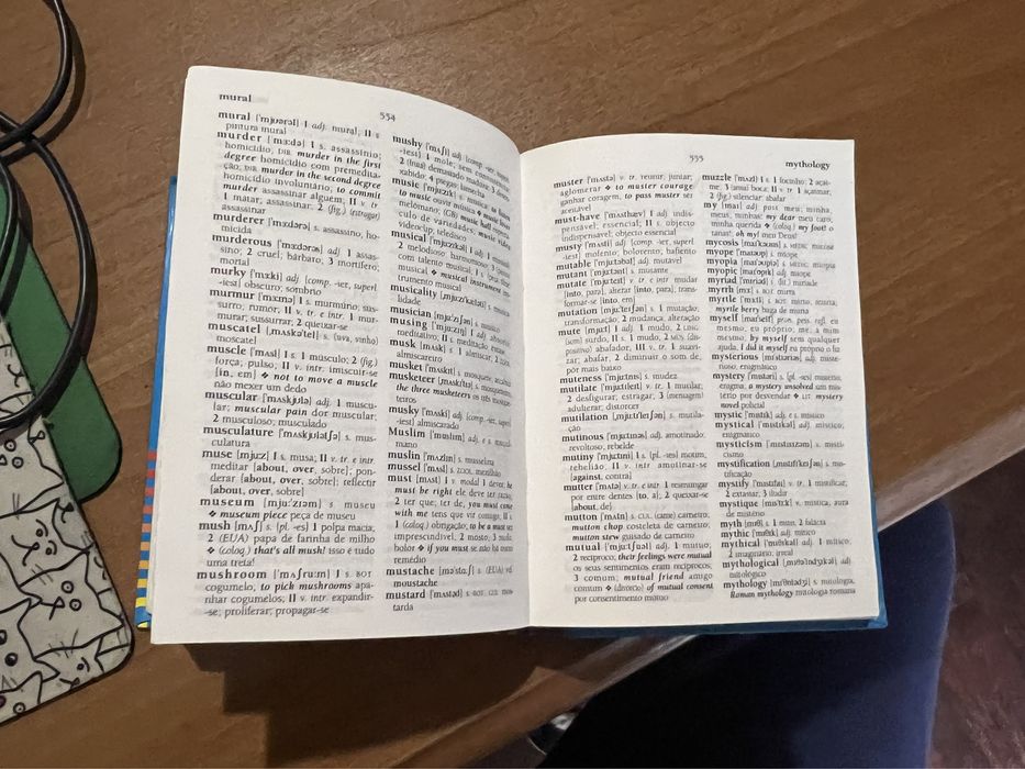 Dicionário Académico Inglês/Português