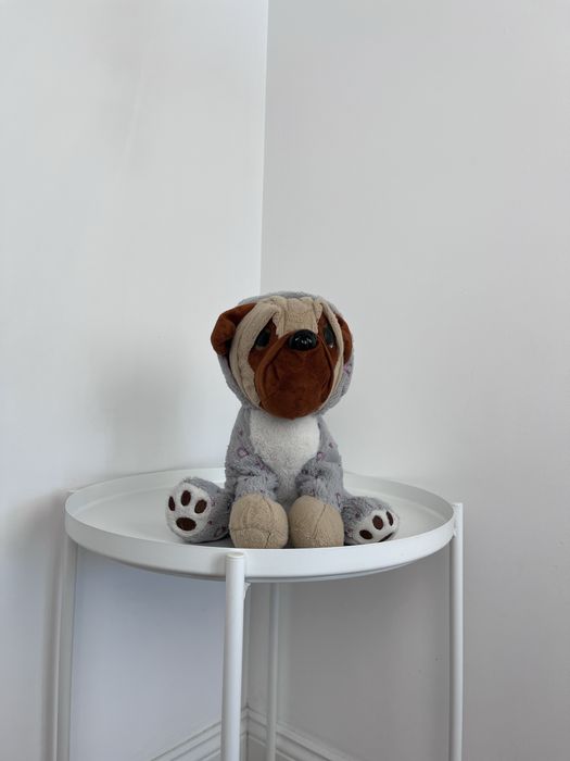 Pluszowy piesek w bluzie