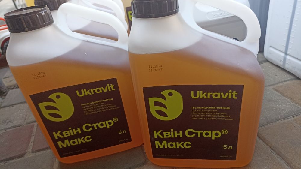 Ореол максі штарга