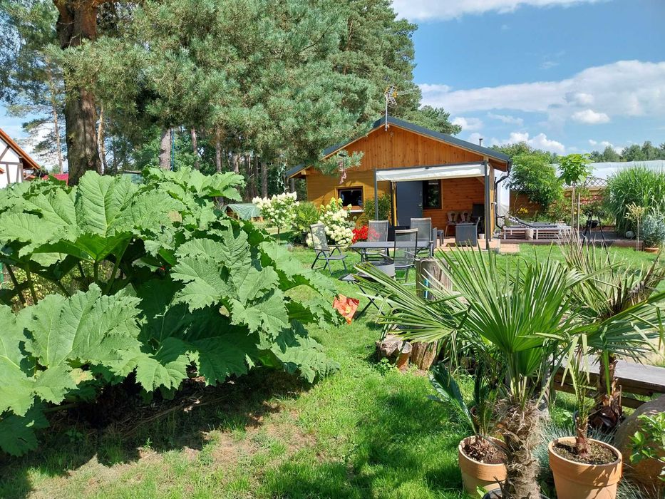 Cichy Kącik, domek na wynajem , 4 osobowy.