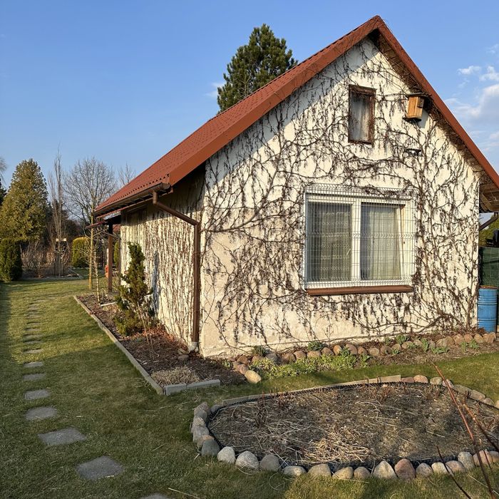 Działka ROD Skierniewice
