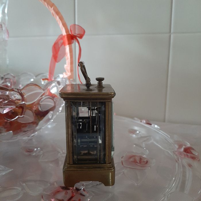 Kareciak miniatura