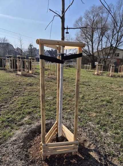 Podpory paliki do Drzew do Nasadzeń Tyczka - Gotowy Zestaw fi5 x 250cm