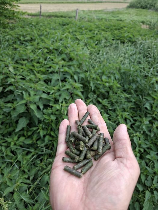 100% Naturalny susz, granulat, pellet z pokrzywy. Opakowanie 0,5kg