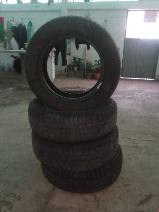 Pineus 175-65-R14