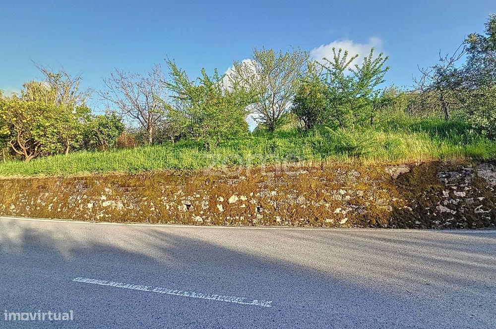 Ruína|+ Terreno Rústico| Alqueidão| Viabilidade de Construção